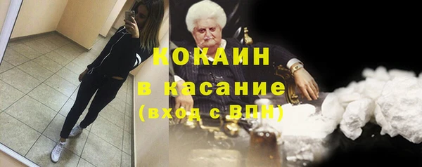 сатива Аркадак