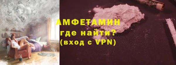 сатива Аркадак