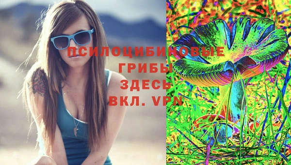 a pvp Арсеньев