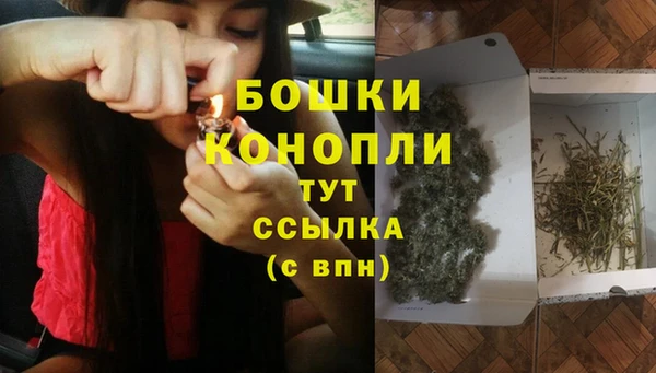сатива Аркадак